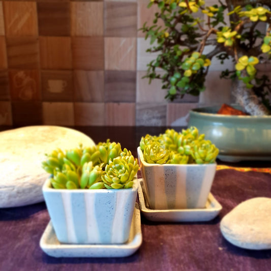Pastel Coloured and White Coloured Stripes Square Shape Planter with Plate (Set of 2), Outdoor and Indoor Planter, Ceramic Planter for Real Plants (Blue and White)