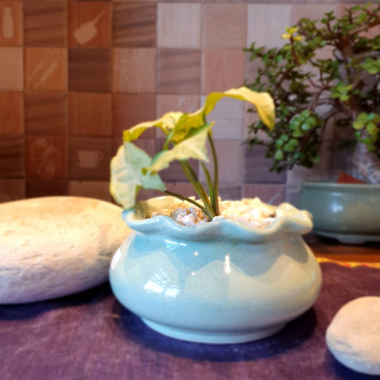 Elegant Floral Round Ceramic Planter, Outdoor and Indoor Planter, Ceramic Planter for Real Plants, 14.5 x 14.5 x 13.5 cm (Teal)