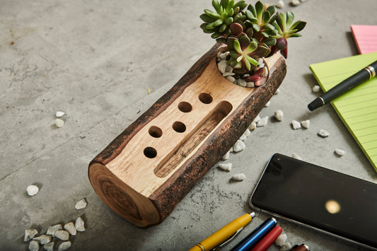A Tiny Mistake Desk Wooden Log 3 in 1 Planter, Indoor Planter for Home Decor, Perfect for Work from Home Desk
