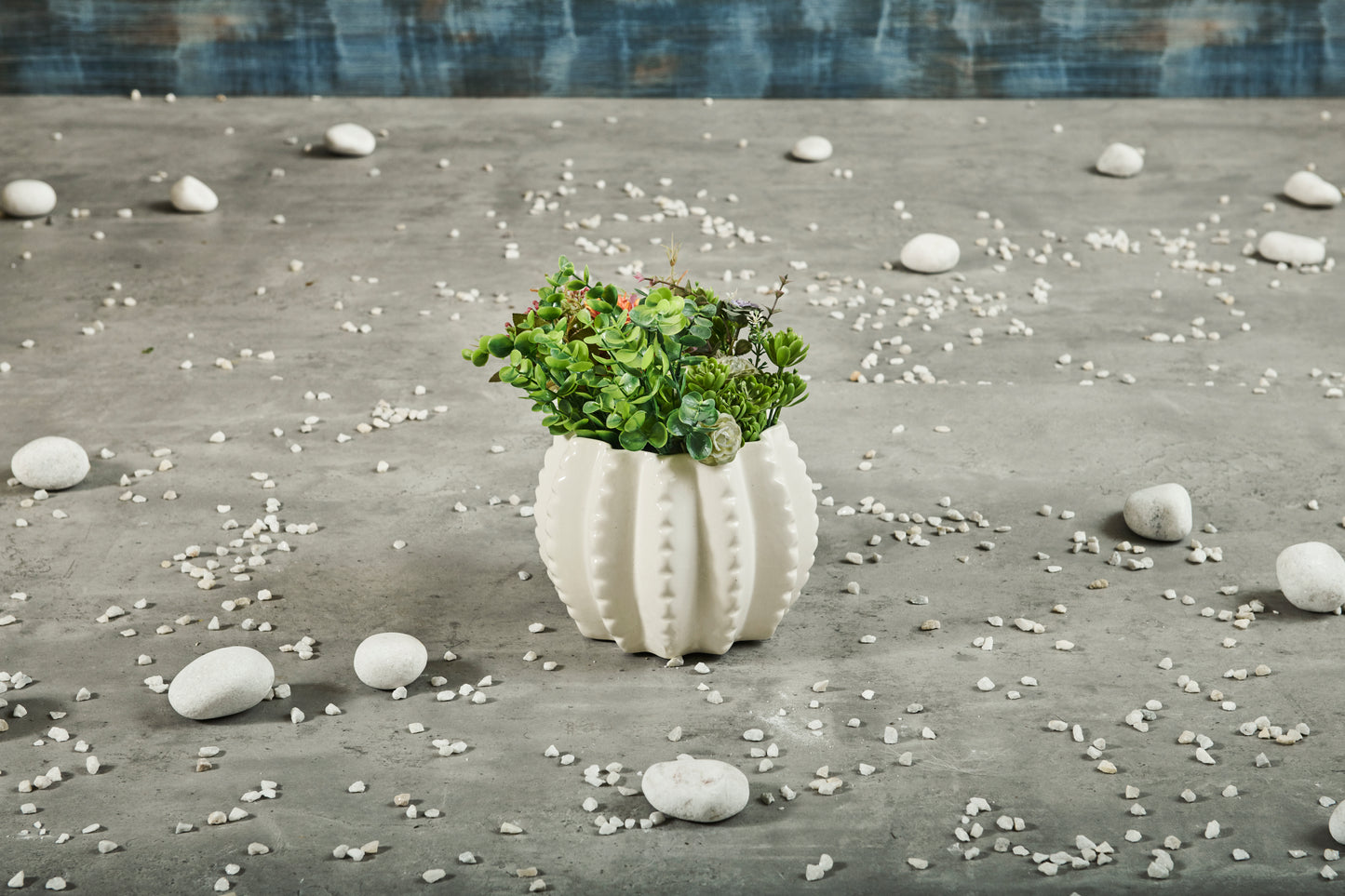 A Tiny Mistake Succulent Shape Round Ceramic Planter (One Piece)