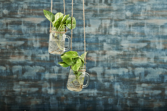 A Tiny Mistake Hanging Rectangle Glass Mason Jars with Jute Rope (Set of Two)