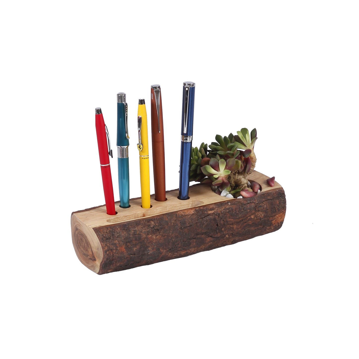 A Tiny Mistake Desk Wooden Log 3 in 1 Planter, Indoor Planter for Home Decor, Perfect for Work from Home Desk