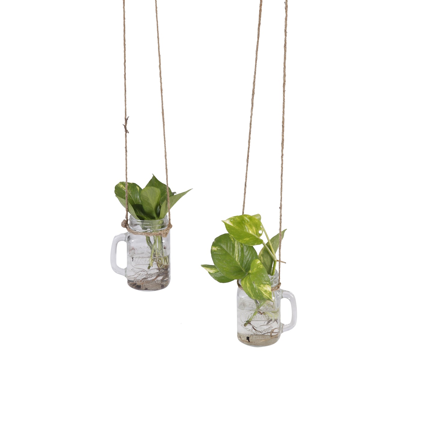 A Tiny Mistake Hanging Rectangle Glass Mason Jars with Jute Rope (Set of Two)