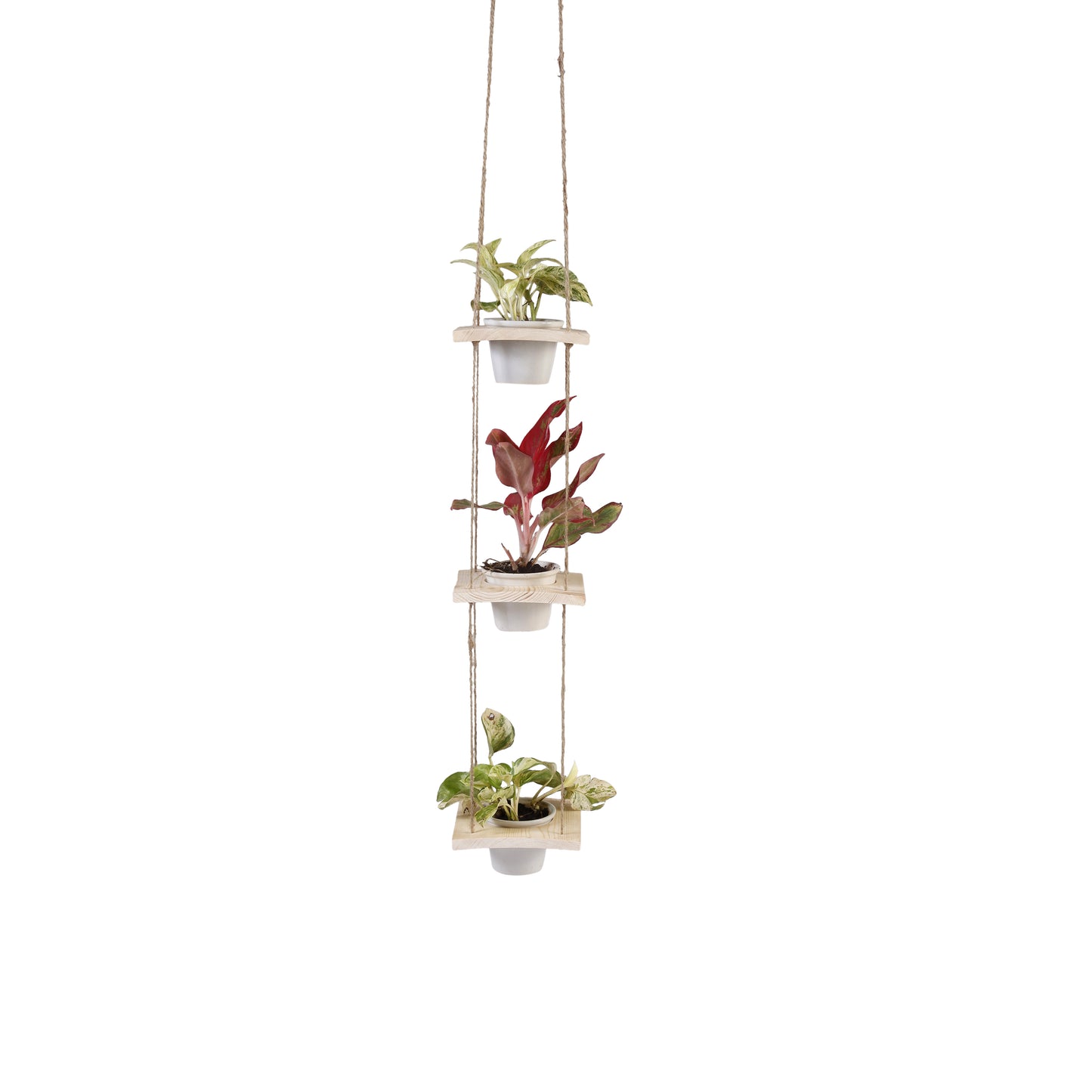A Tiny Mistake Hanging Pinewood and Ceramic Planter Vertical, Indoor Planter for Home Decor, Wooden Planter with Three Pots (Natural)