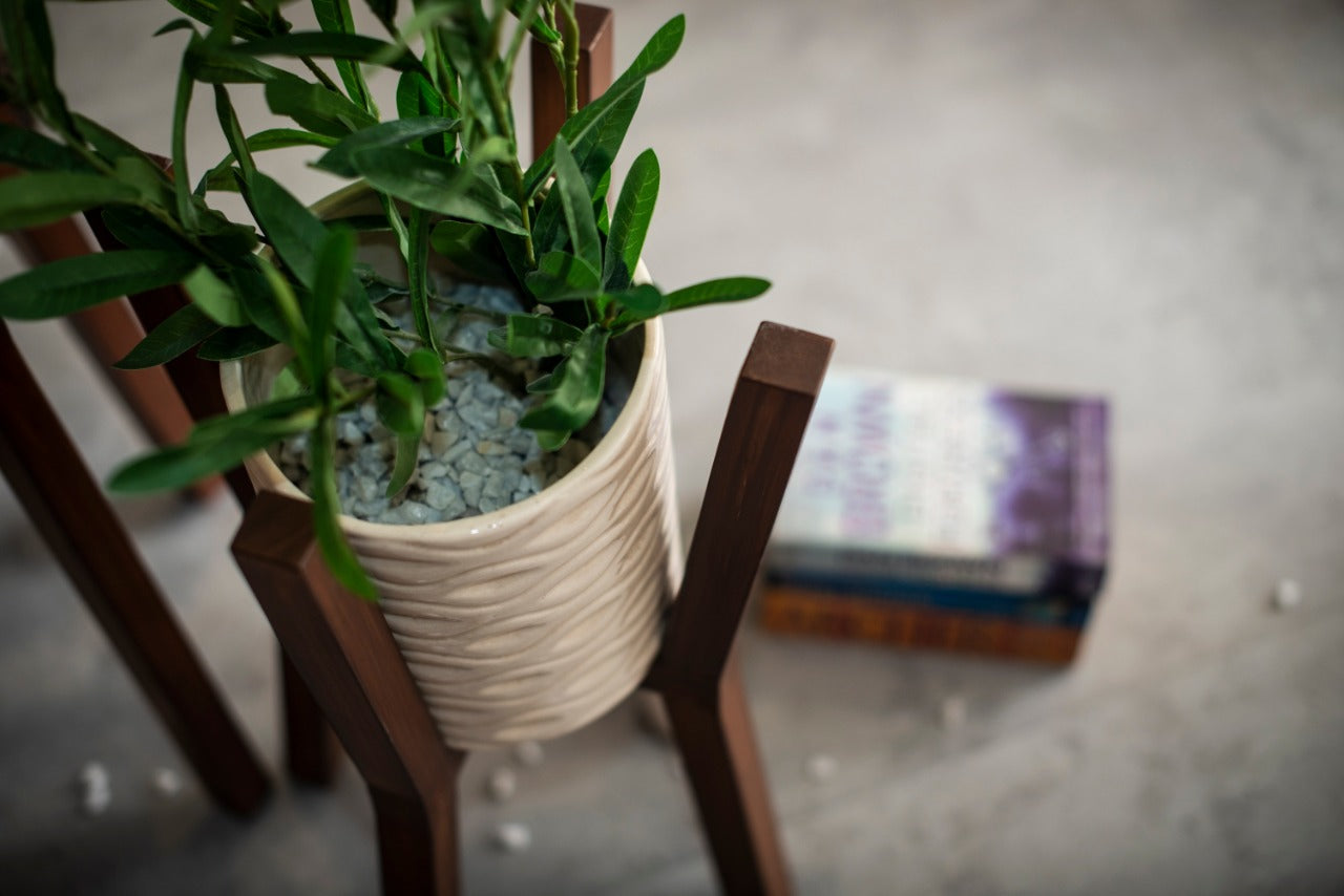 Three Wooden Planter Stands with Ceramic Pots