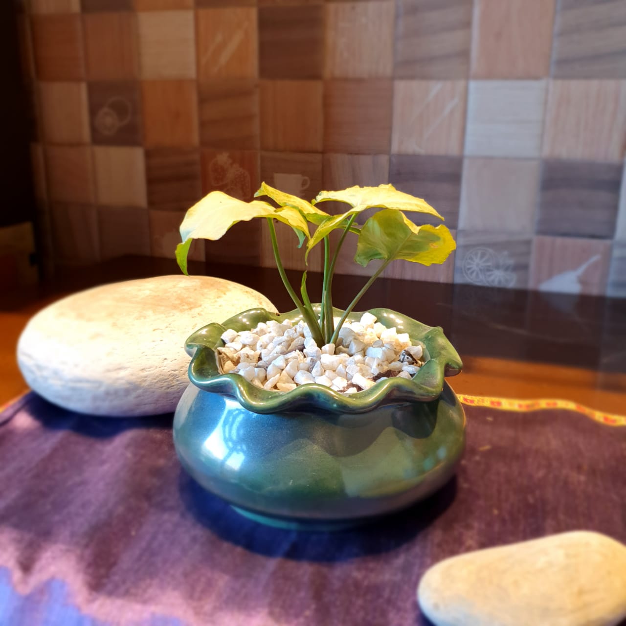 Elegant Floral Round Ceramic Planter, Outdoor and Indoor Planter, Ceramic Planter for Real Plants, 14.5 x 14.5 x 13.5 cm (Jade)