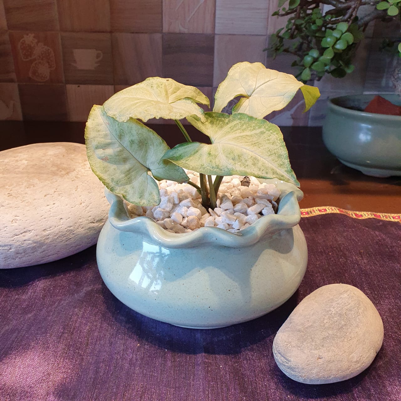 Elegant Floral Round Ceramic Planter, Outdoor and Indoor Planter, Ceramic Planter for Real Plants, 14.5 x 14.5 x 13.5 cm (Teal)